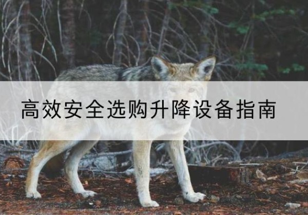 新华升降货梯厂家推荐-*安全选购升降设备指南