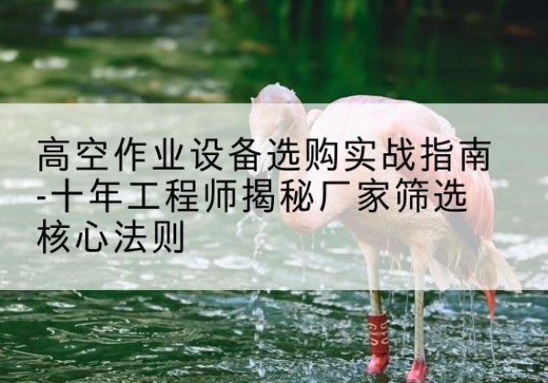新华剪叉式升降机厂家-高空作业设备选购实战指南-十年工程师揭秘厂家筛选核心法则